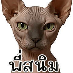 Pet Ideas: Rust Part 2.