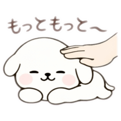 kinako_20260128232606