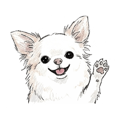 普段使いに・ほんわかチワワのスタンプ