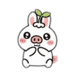 pokopoko_20260130183235