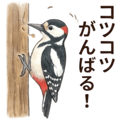 野鳥の挨拶（頑張り屋さん）