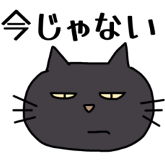 Moody Black Cat: Tsundere Life