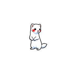 Ermine_white