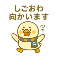 ALB Qchan_20260130205545