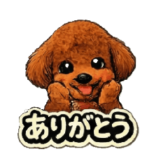 katamomitei_20260130212232