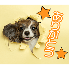 生島家のクランちゃん