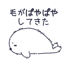 meow_20260130215336