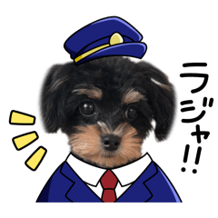 ichigotanfuru_20260201130019