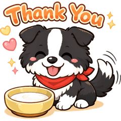 冬季邊境牧羊犬：小柯利