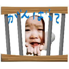 kenken_20260201131457