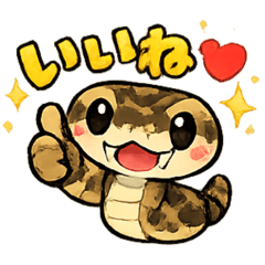 kamican_20260201200921