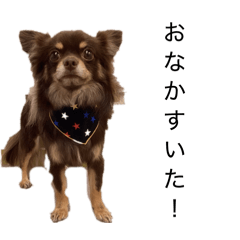 honochin_20260201232551