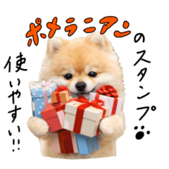 Pomeranian sticker for daily use