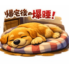 Vivid_20260130224317