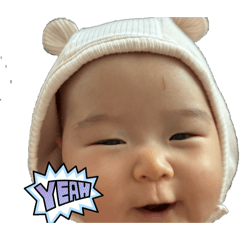 honohaha_20260130230556