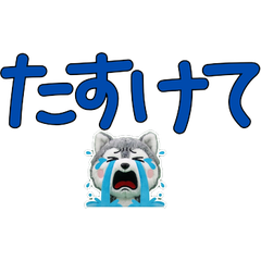 Moving Polite Malamute  12th