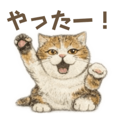 Mei.Emily_20260130230423