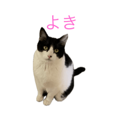 unimama_20260201134920