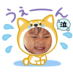 paopao_20260131022229