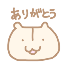 hamham_20260131020615