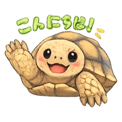 CHIRO_20260131072546