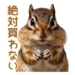 Save Money! Chipmunk Daily Life