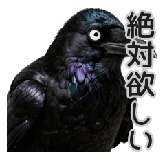 Shopping Crow for Daily Life