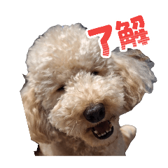 makoto_20260201144032