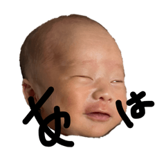 maimai_20260201143923