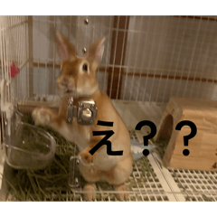 taniguchi_20260201143751