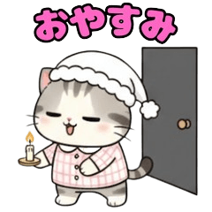 Sweet Silver Mackerel Tabby Cat6