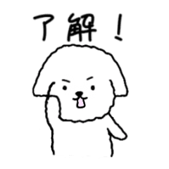 【動く】白いもふもふトイプードル　 第4弾