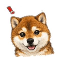 NMSNK_20260131133344