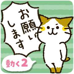 Cute cat 'Cyanpachi'. animation2