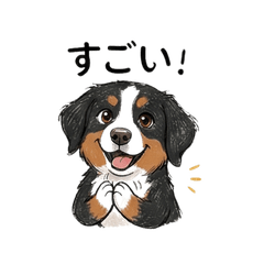 Energetic Bernese Daily Life11