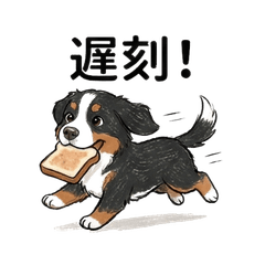 Energetic Bernese Daily Life22