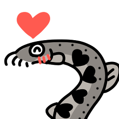 愉快なドジョウさんの日常