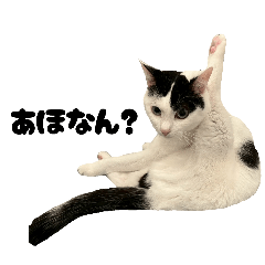 YUIKO_20260131155201