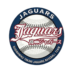 Jaguars conversation