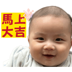 紫龍鼻鼻2026馬年快樂