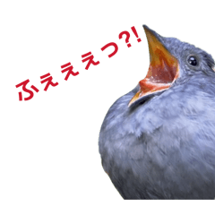 my_20260201151444