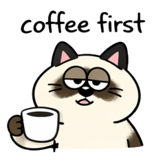 Mellow the Siam Cat -low energy everyday