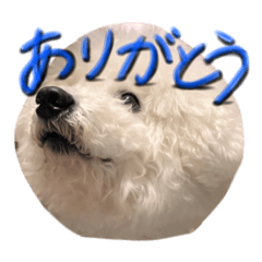 Donburi_20260131182125