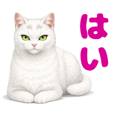 kakanon_20260131205012