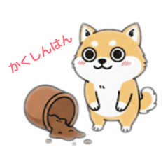 FuuTa_20260131212805