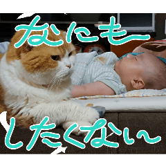 iroiro_20260201151614