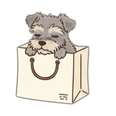 pokopoko_20260131213633