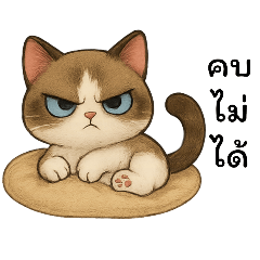 Julaiporn_20260201143533