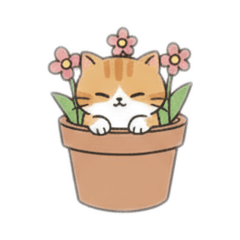 pokopoko_20260131091311