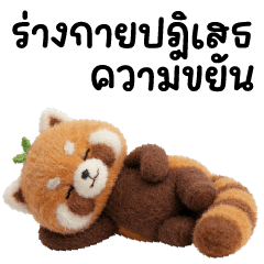 แพนด้าแดง ❤️ น่ารัก